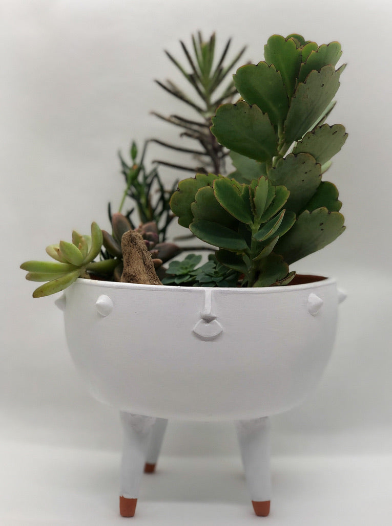 Mini Spike Planter