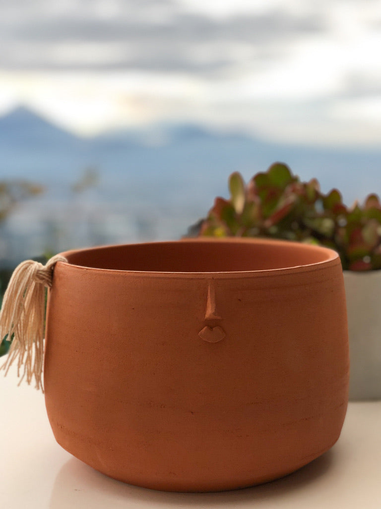 La Chonguda Planter