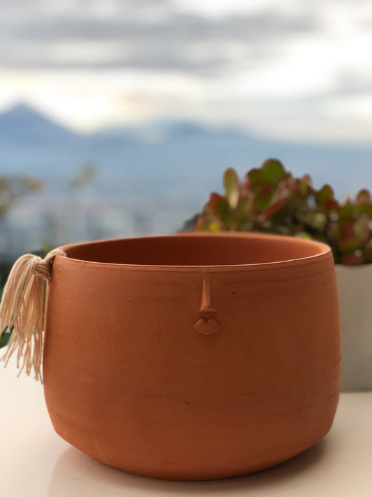 La Chonguda Planter