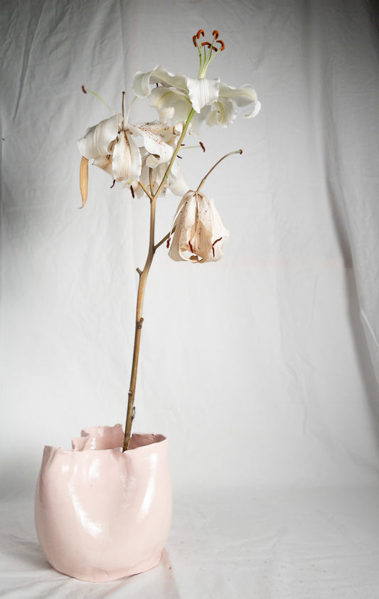Florero Rosita